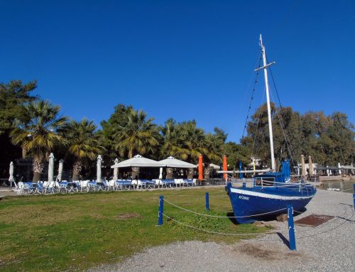 Kαφεδοβόλτα Νοεμβρίου