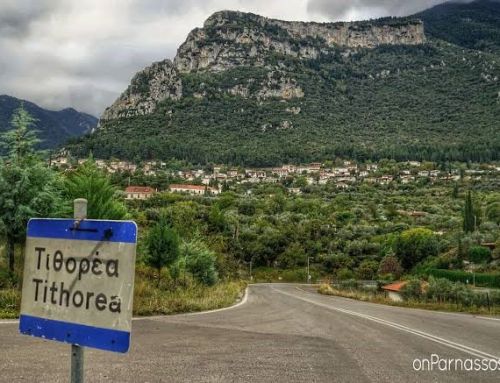 Τιθορέα